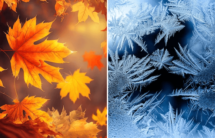 Premières gelées : une arrivée tardive cet automne