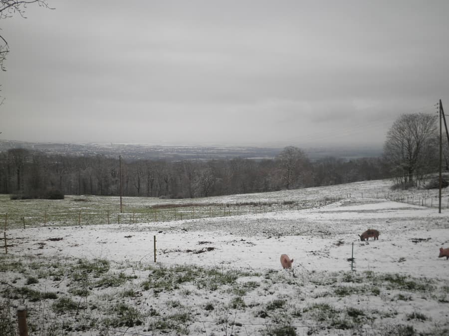 Neige : premiers flocons de la saison en plaine ?