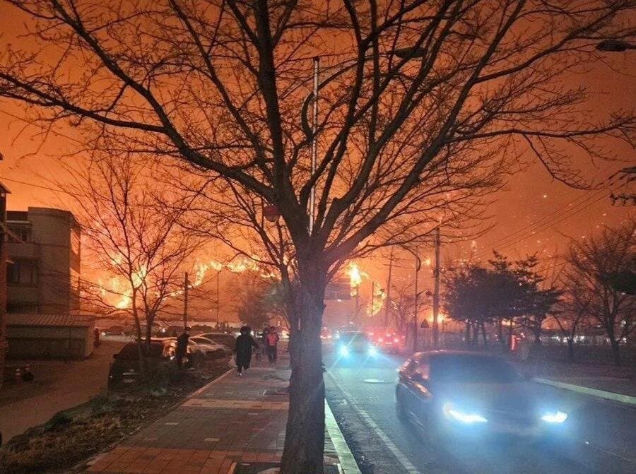 Des incendies inédits touchent la Corée du Sud