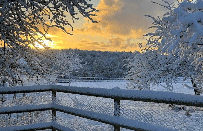 En images : l'arrivée précoce de la neige en plaine sur la France