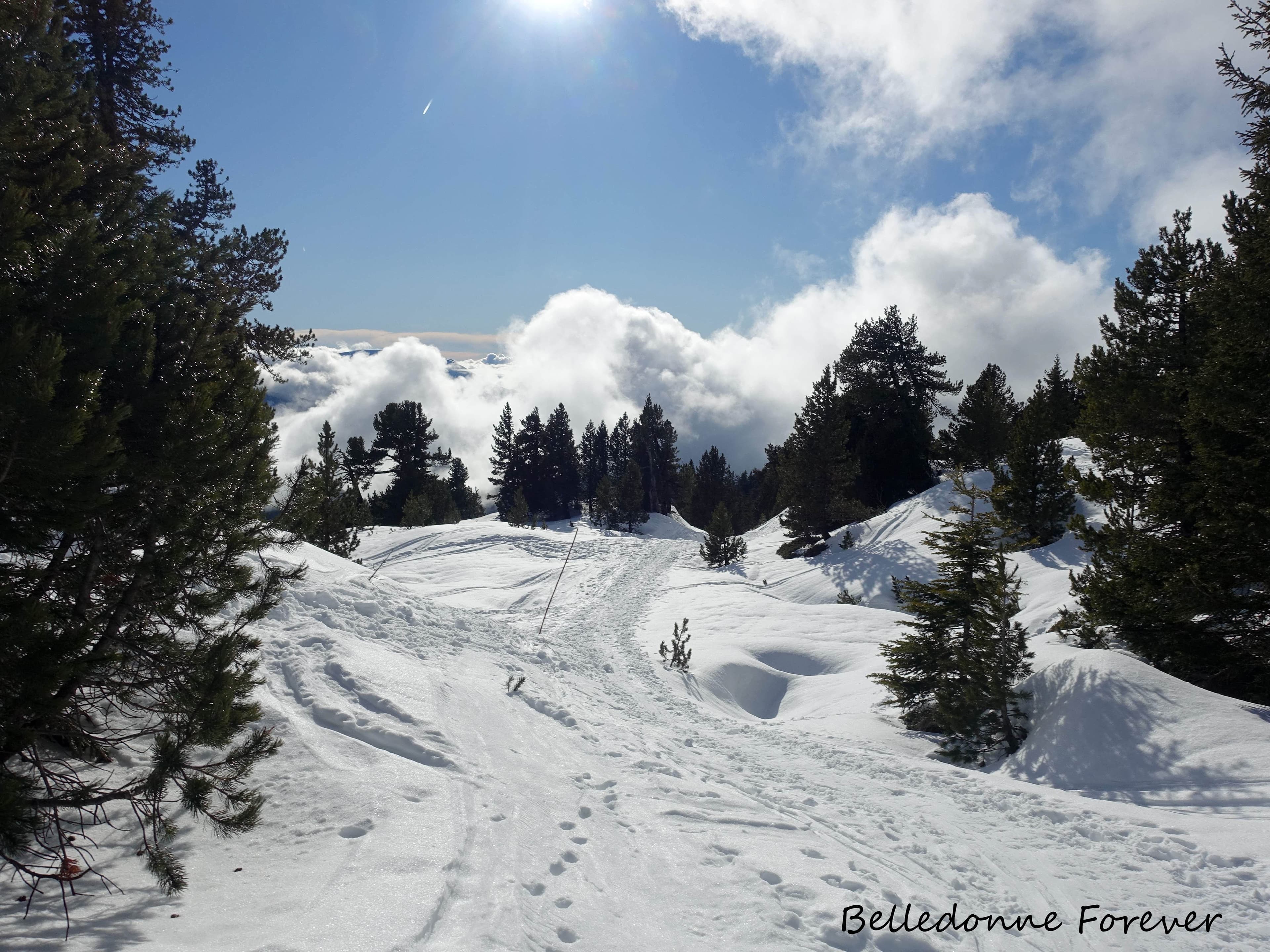 Température et neige de fin avril .... A.P.