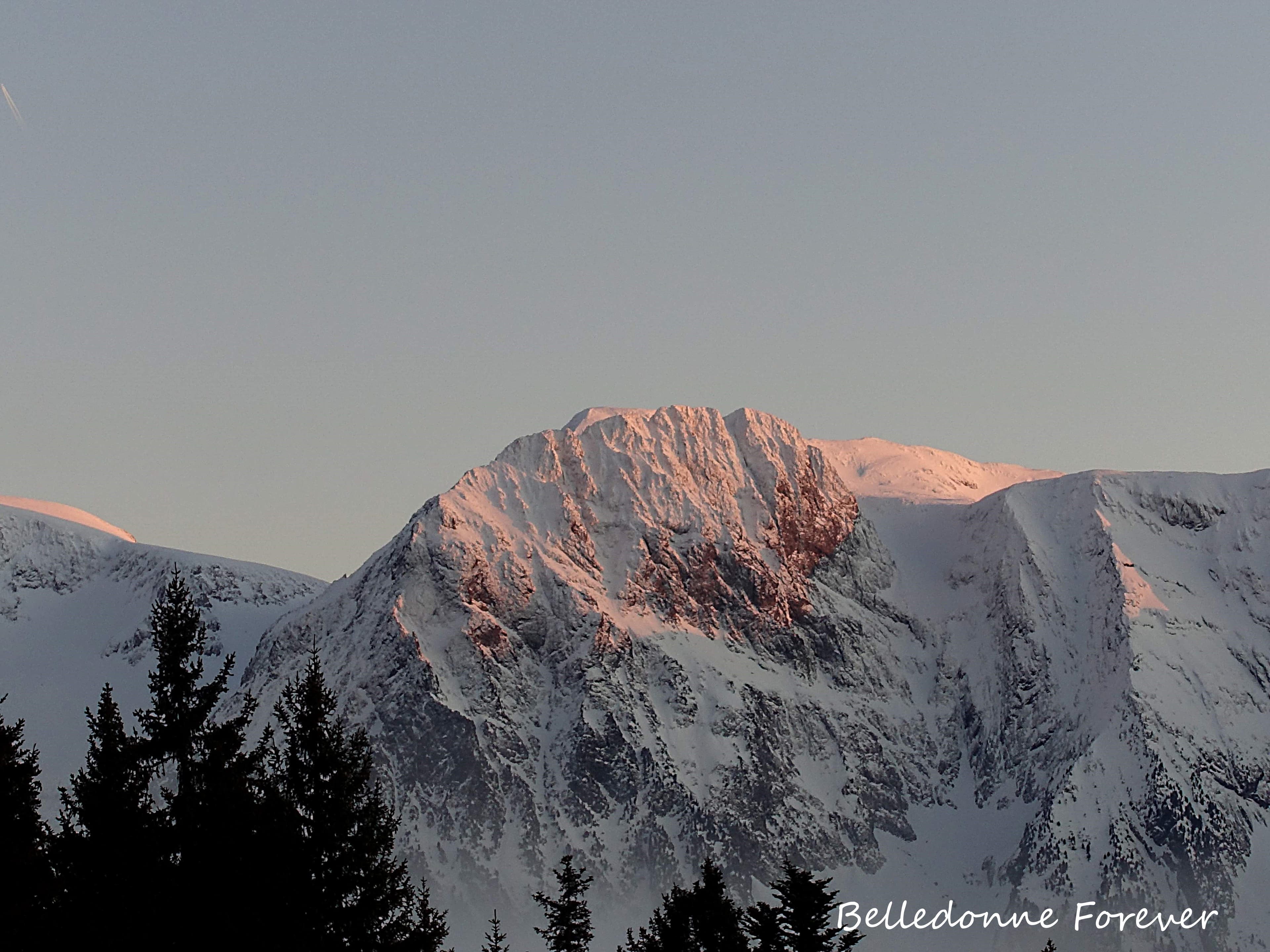 Le taillefer bien plâtré  A.P.