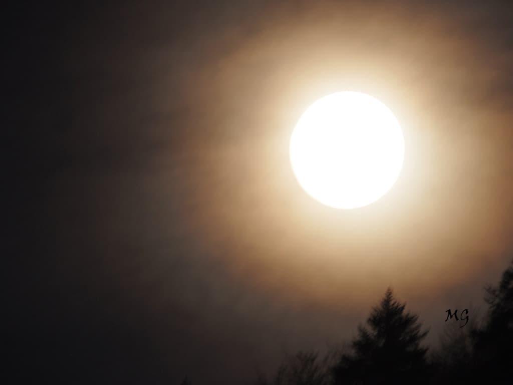 Lune hivernale !!!