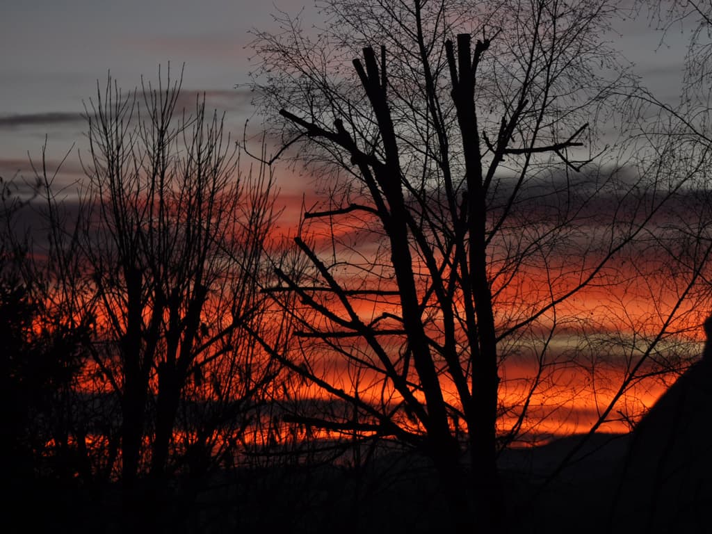 Ombre chinoise au soleil couchant !!!