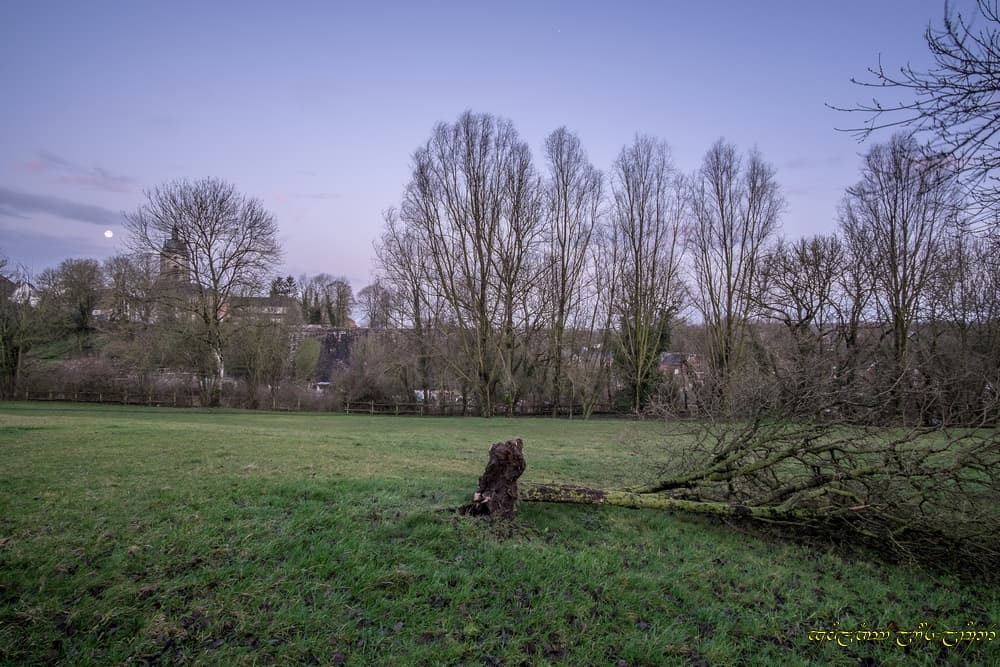 Dégâts modérés -II