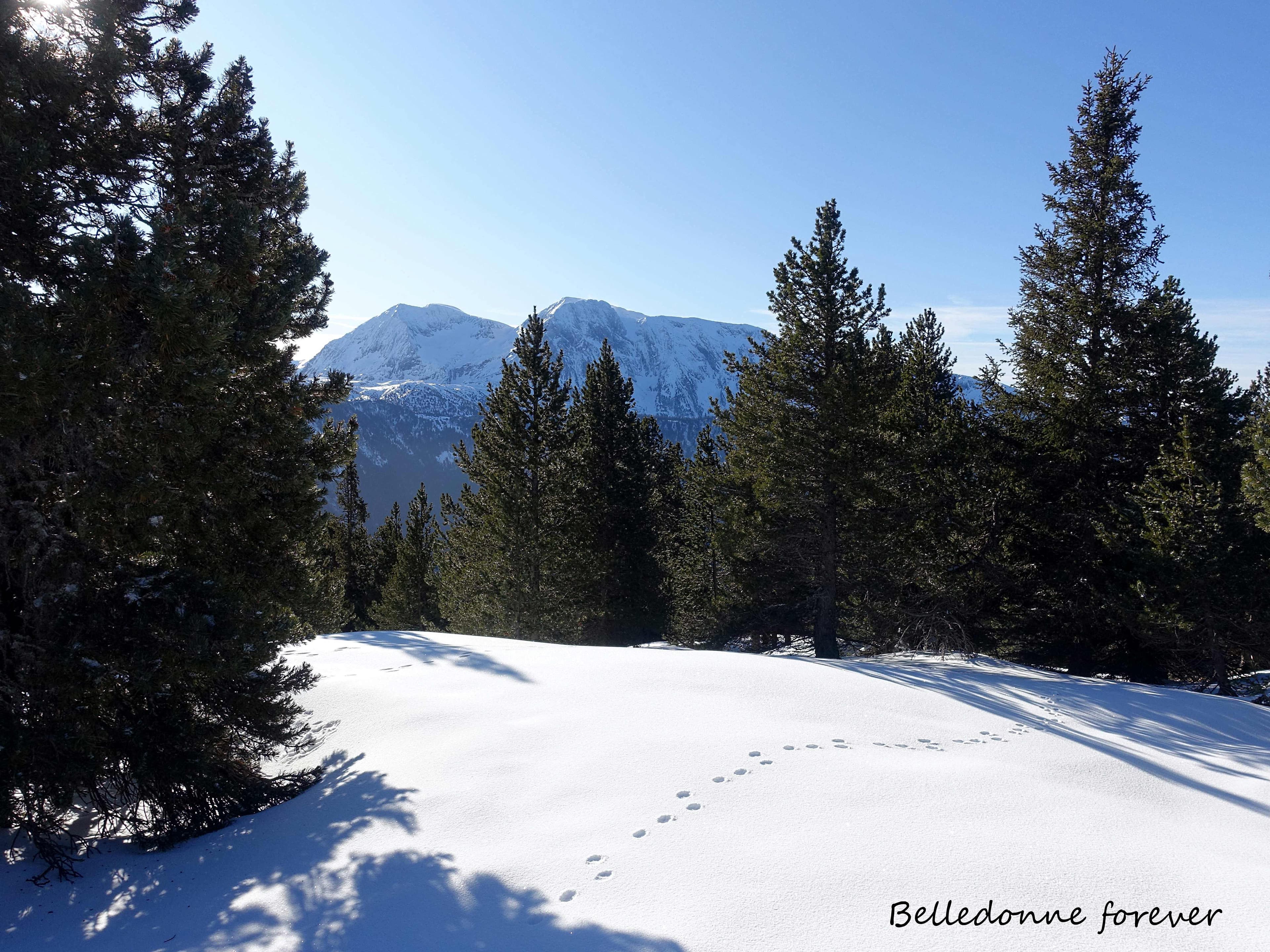 A l'abri du vent un peu de fraîche what else A.P.