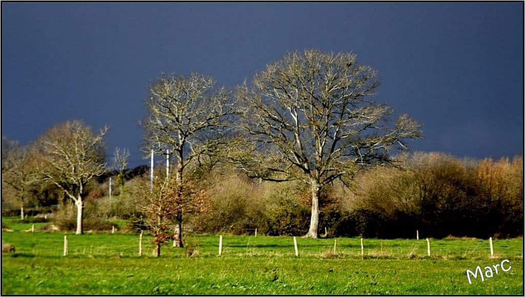 La grosse averse ...pour bientôt