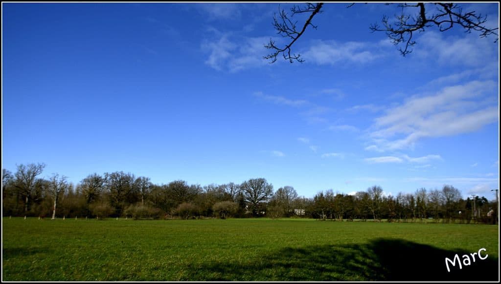 Après l'ondée, le paysage est transformé
