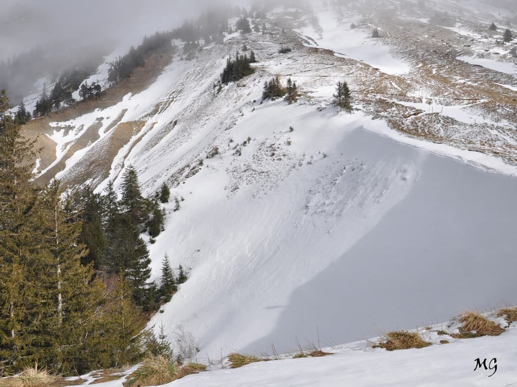Partage des saisons en Chartreuse entre hiver et printemps !!!