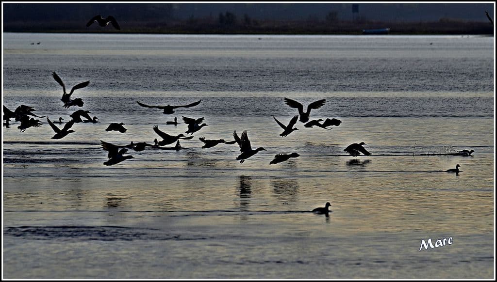 On s'agite au lever du jour