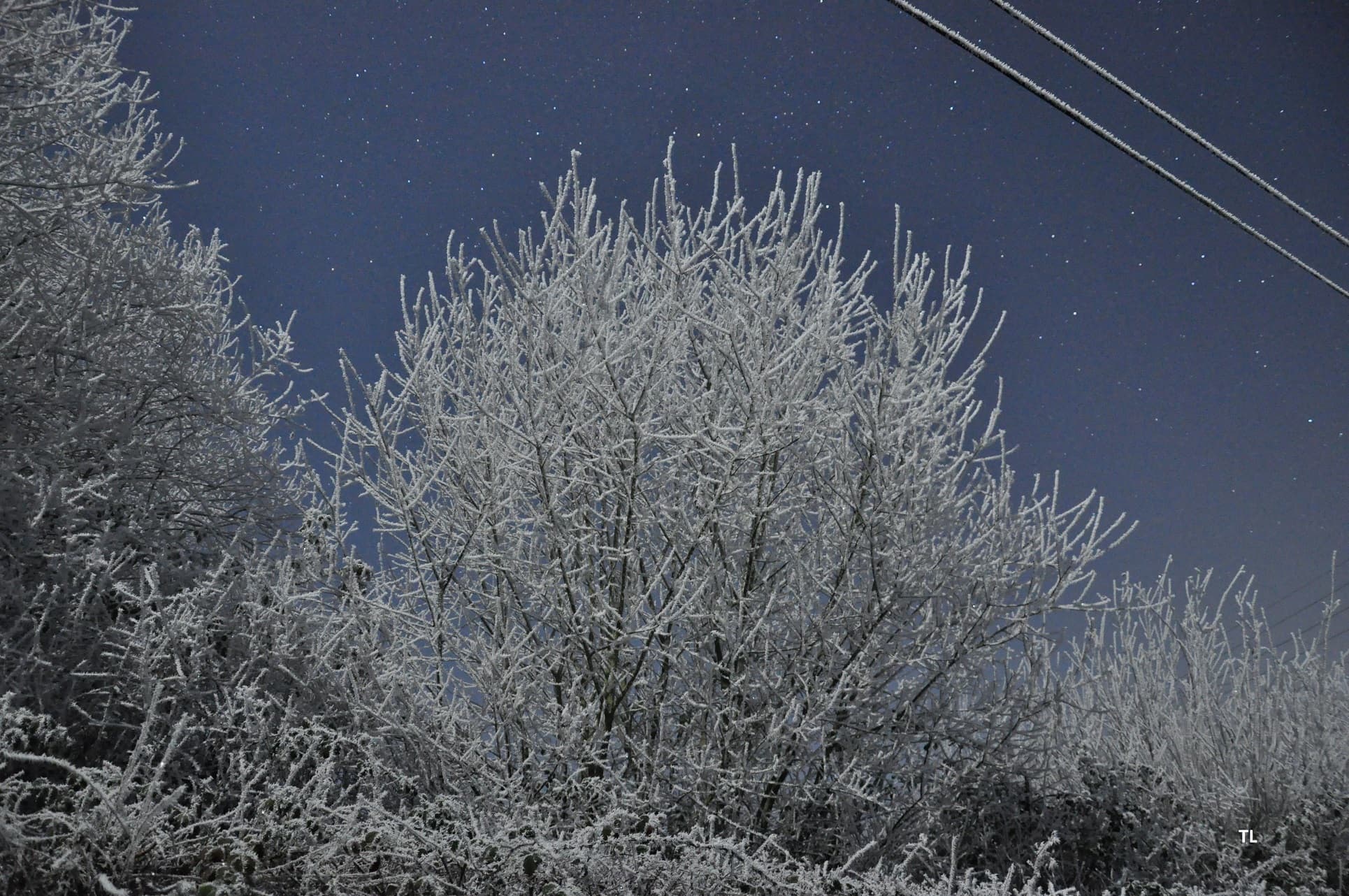 Givre au clair de lune