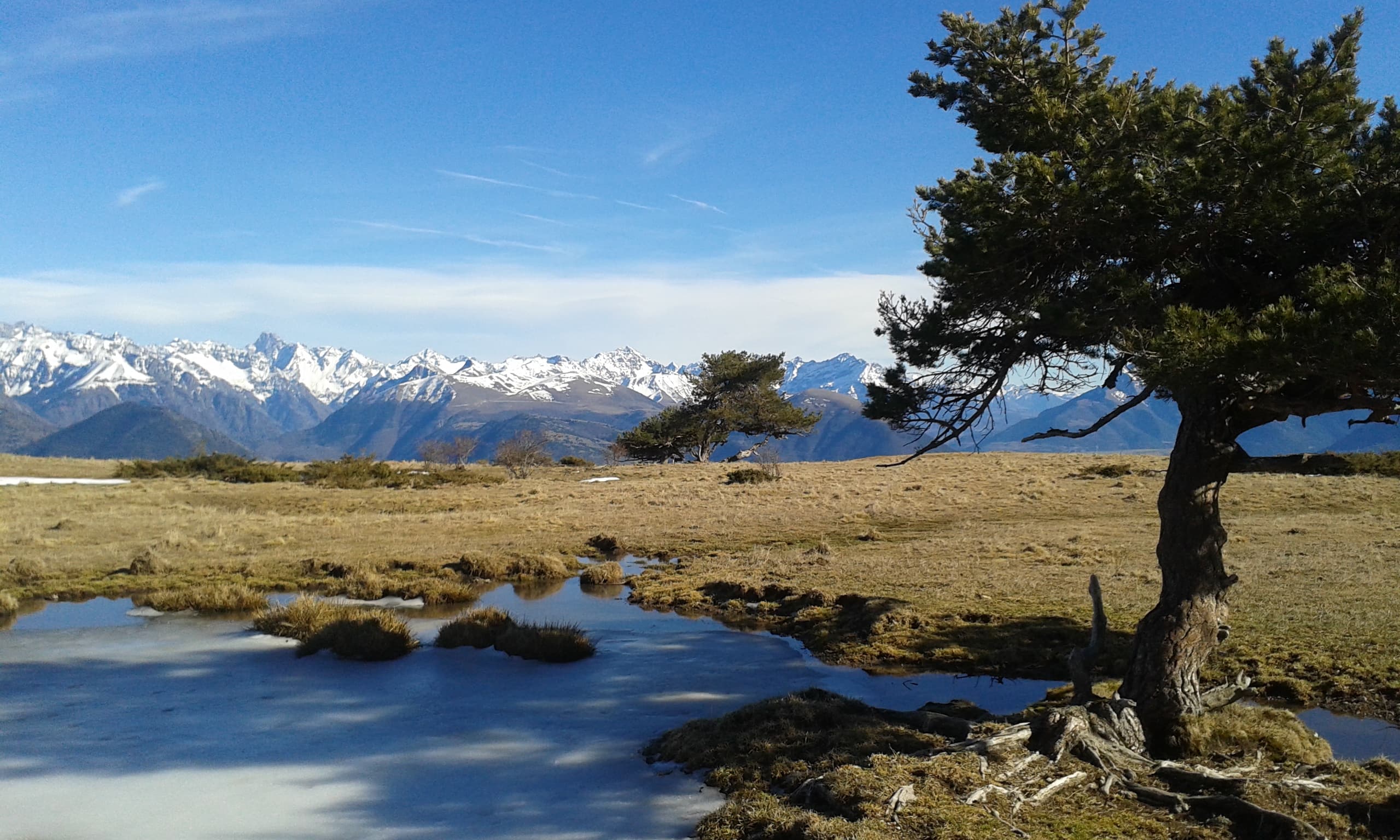 En descendant du Sénépi, vue sur le sud isère et les hautes alpes
