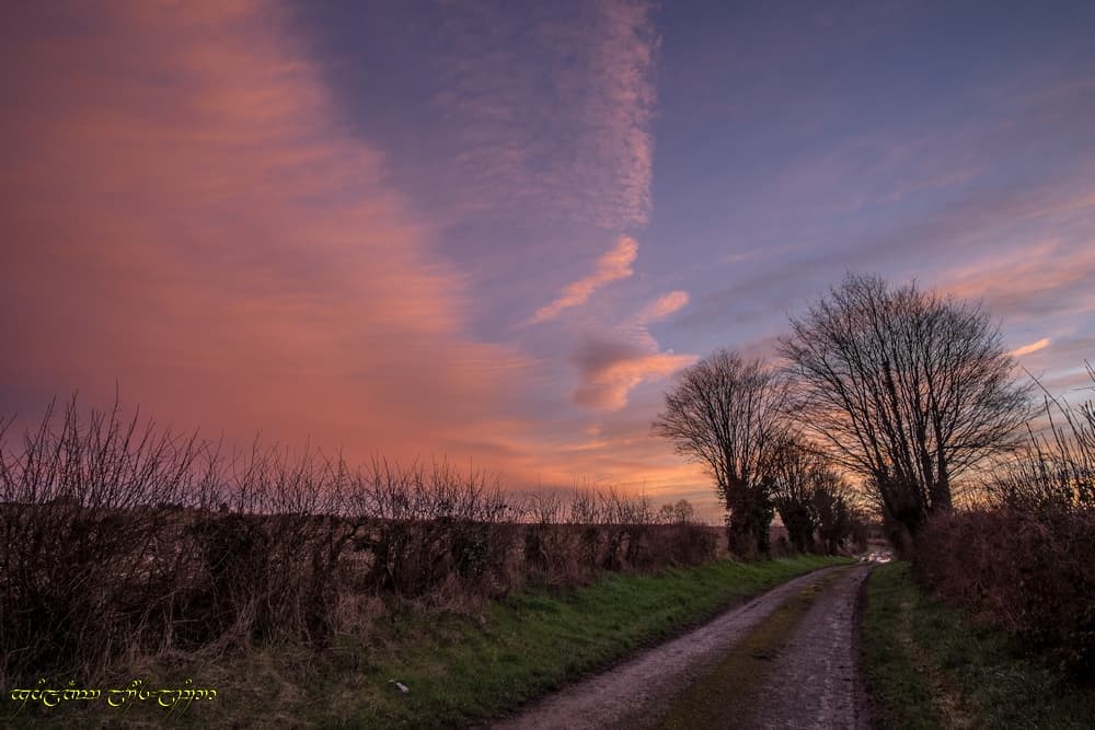 Des couleurs dans le bocage