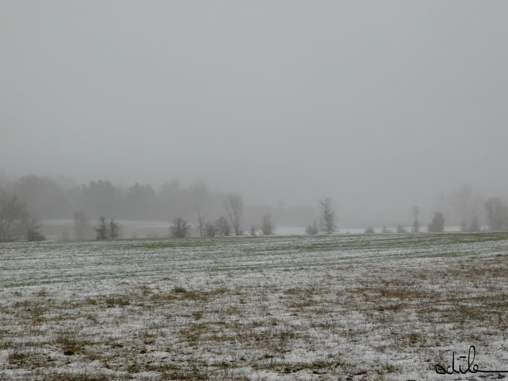 Grisaille sur la campagne trièvoise
