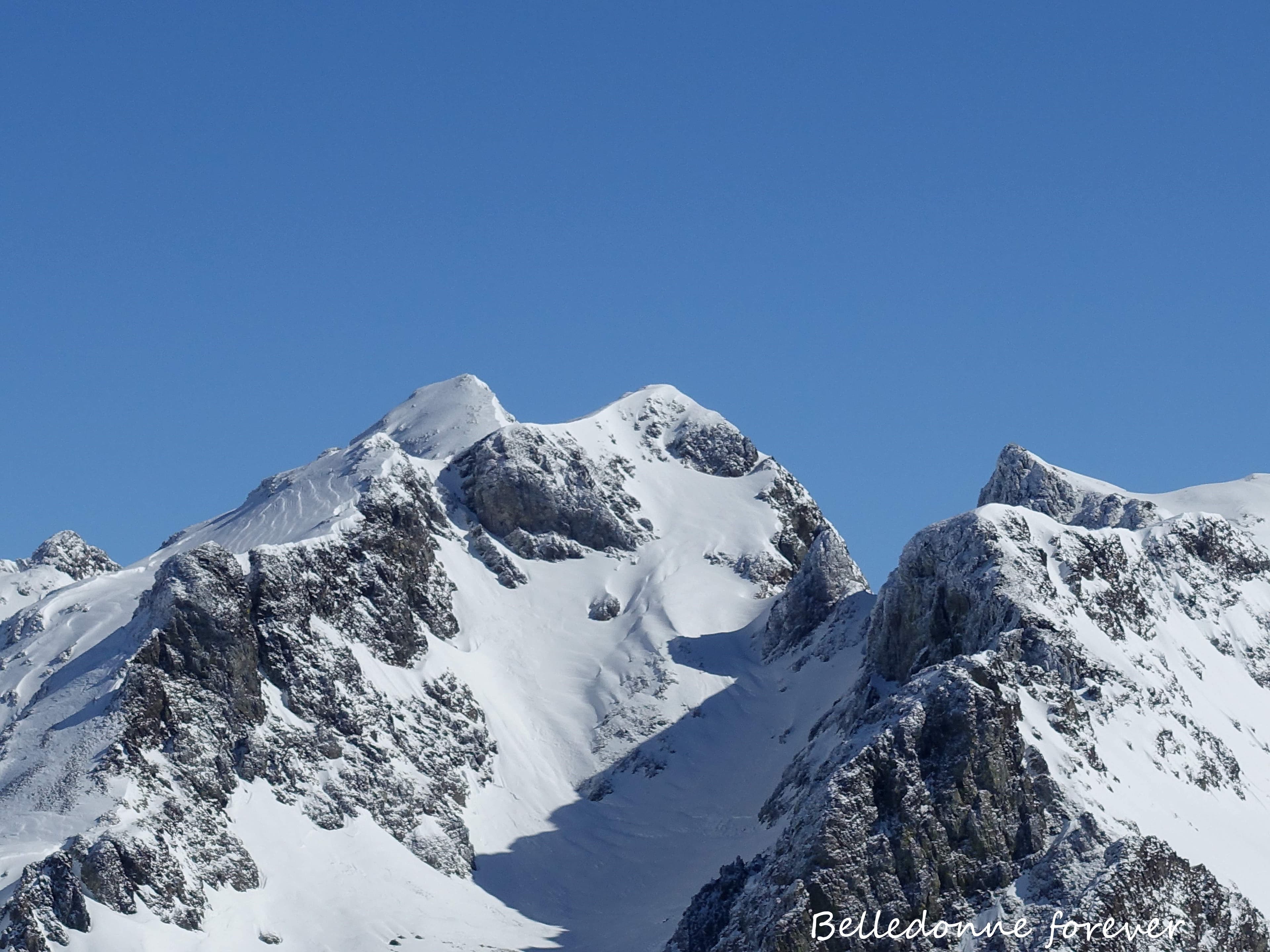 Le sorbier bien chargé A.P.