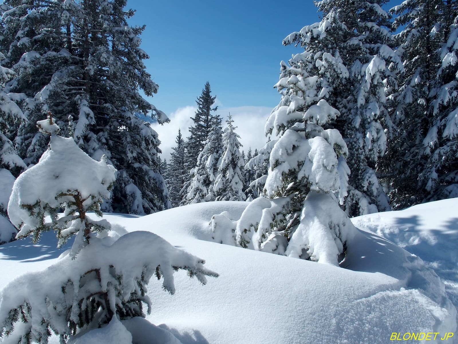 En montant au lac Achard