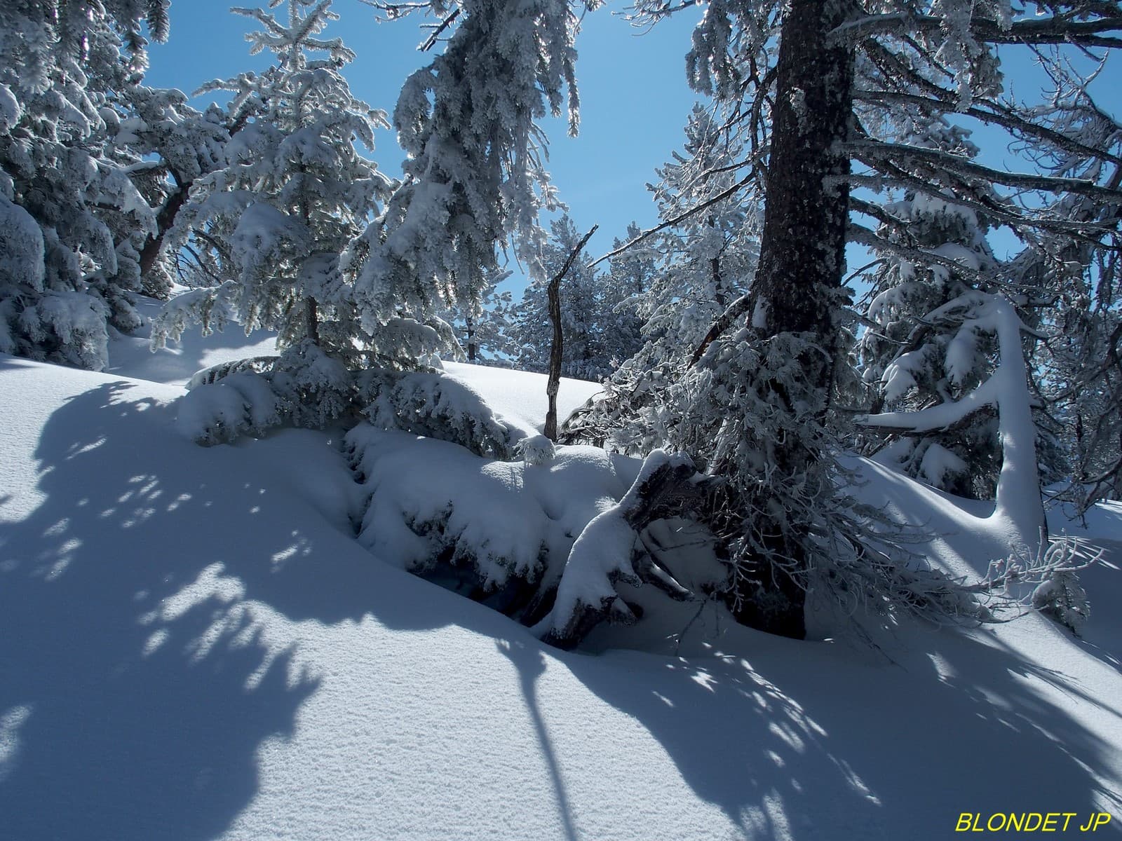 Neige abondante sur le sentier du lac Achard