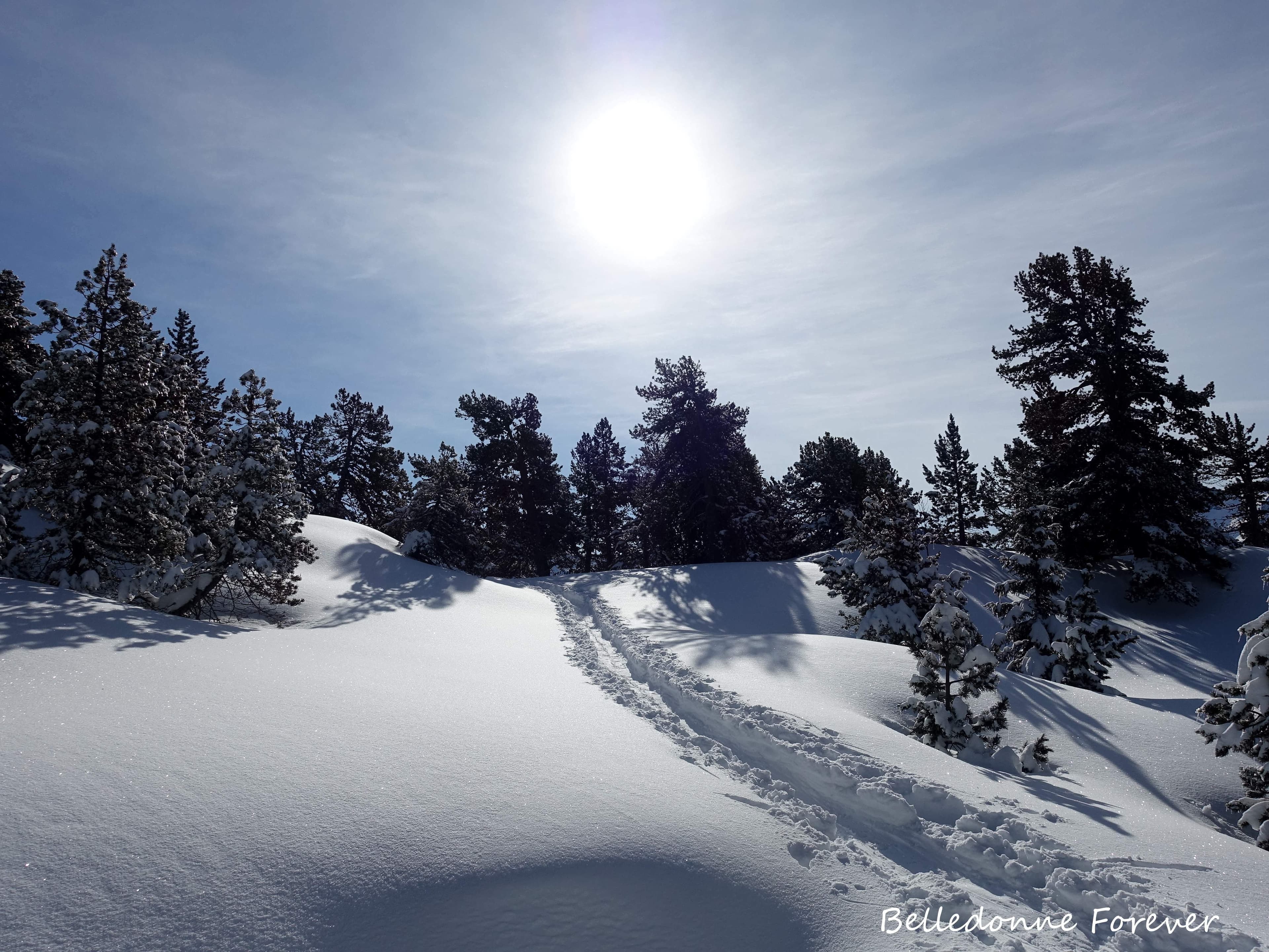Bonne quantité  de neige au-dessus de 1900 m AP.