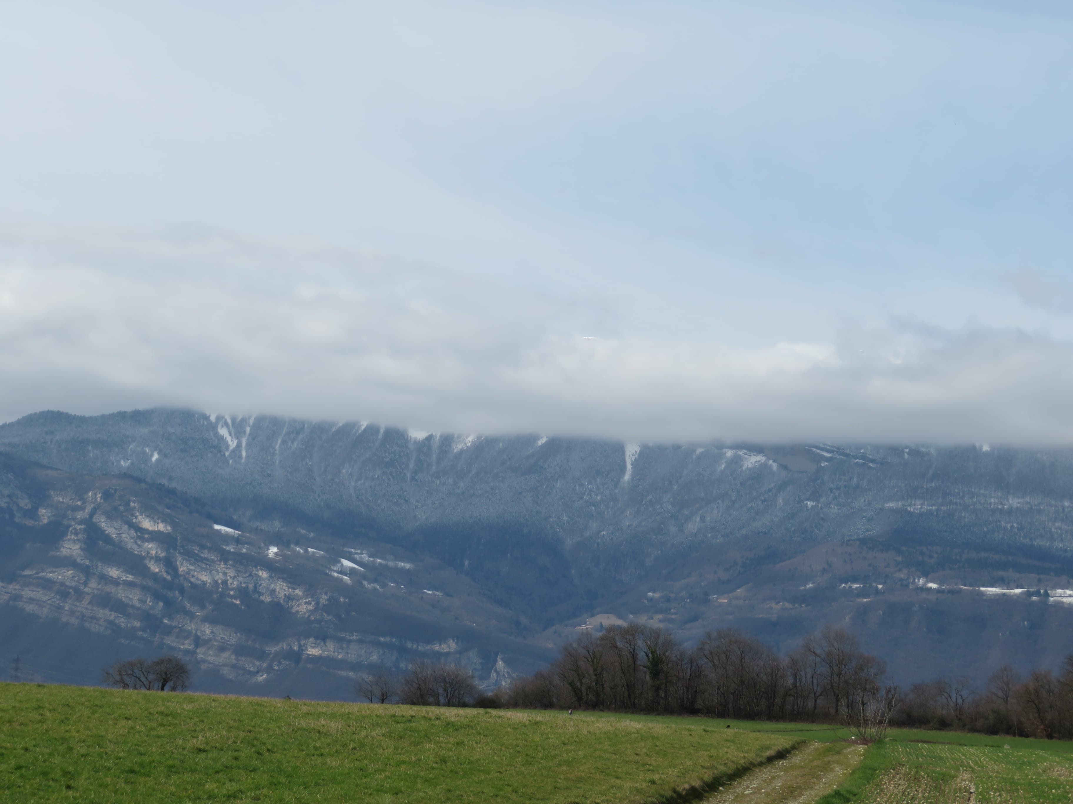 Vercors arrasé par le gris