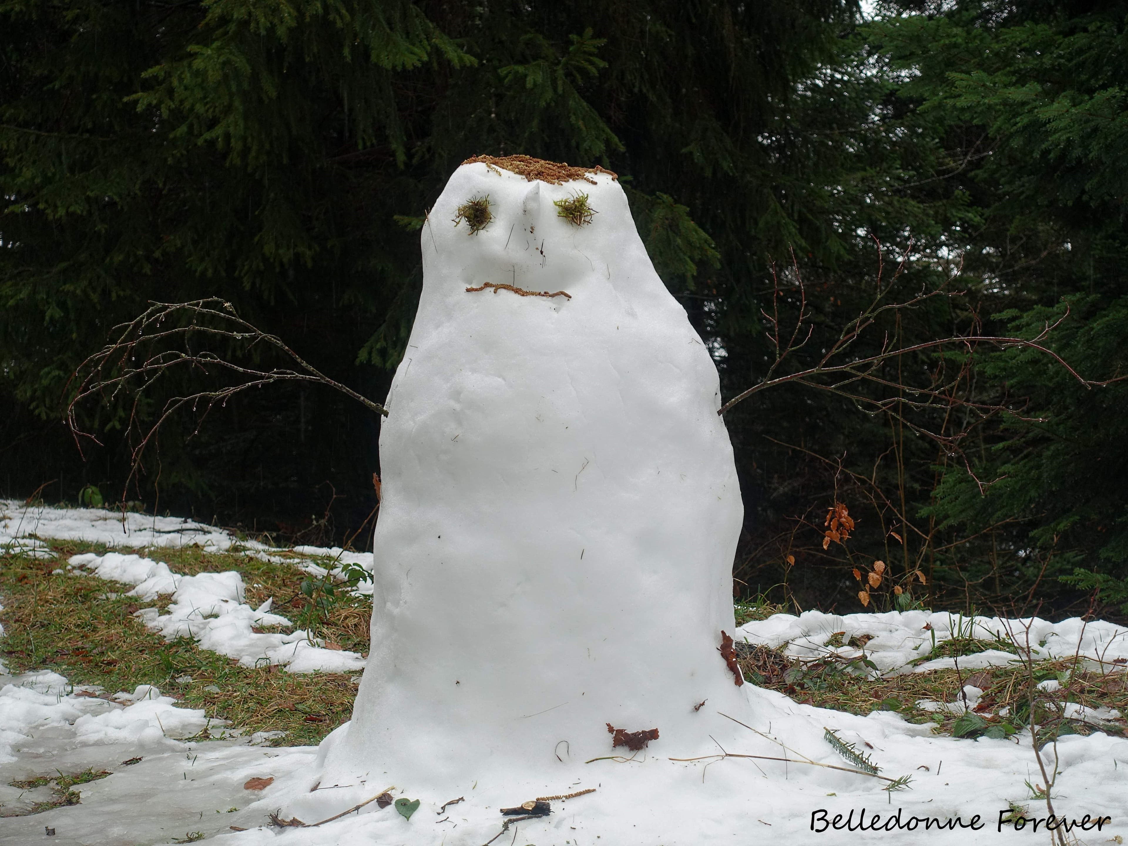 Espèce en voie de disparition, en plus il n'a pas de parapluie A.P.