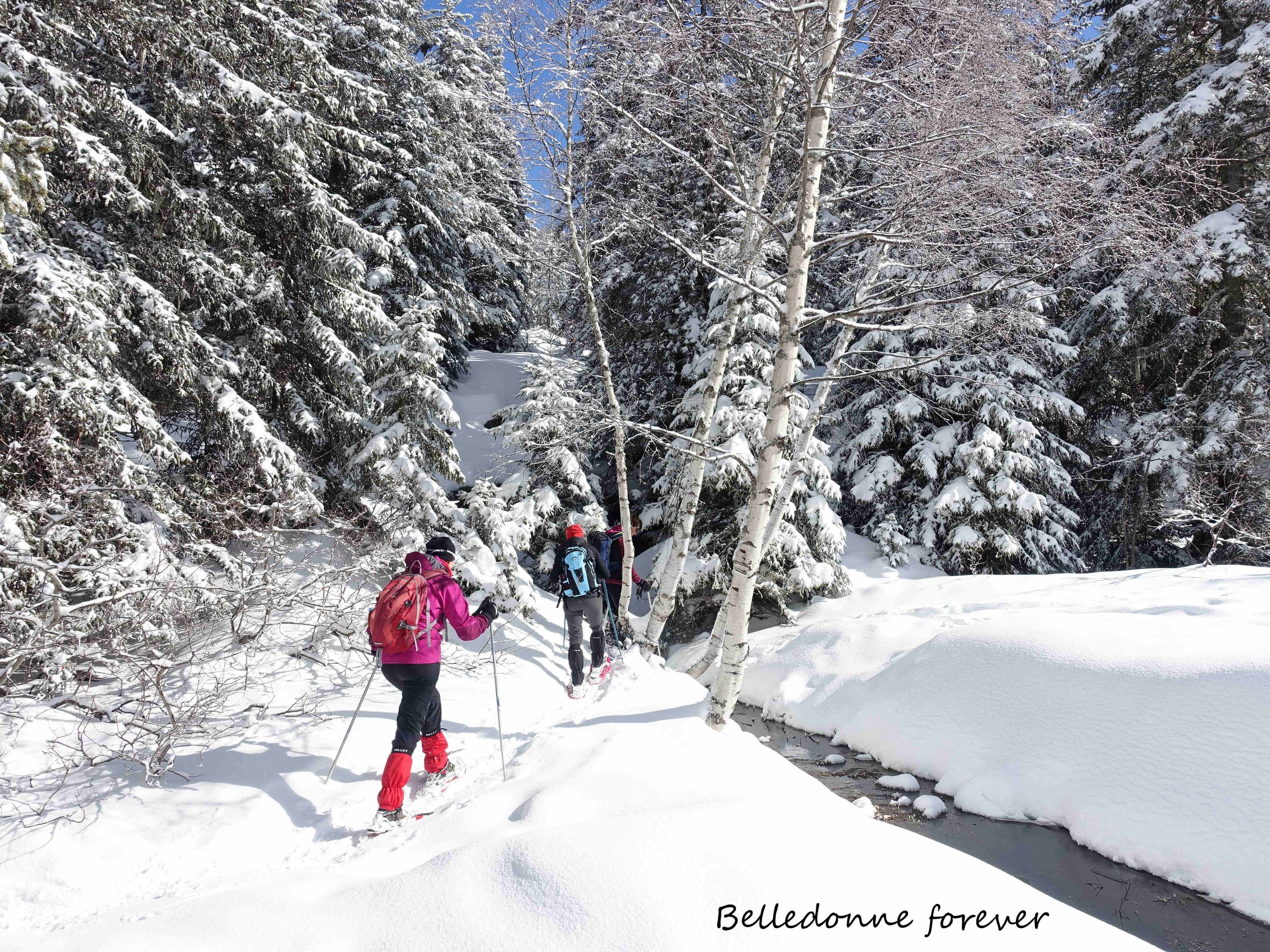 Un peu de neige fraîche A.P