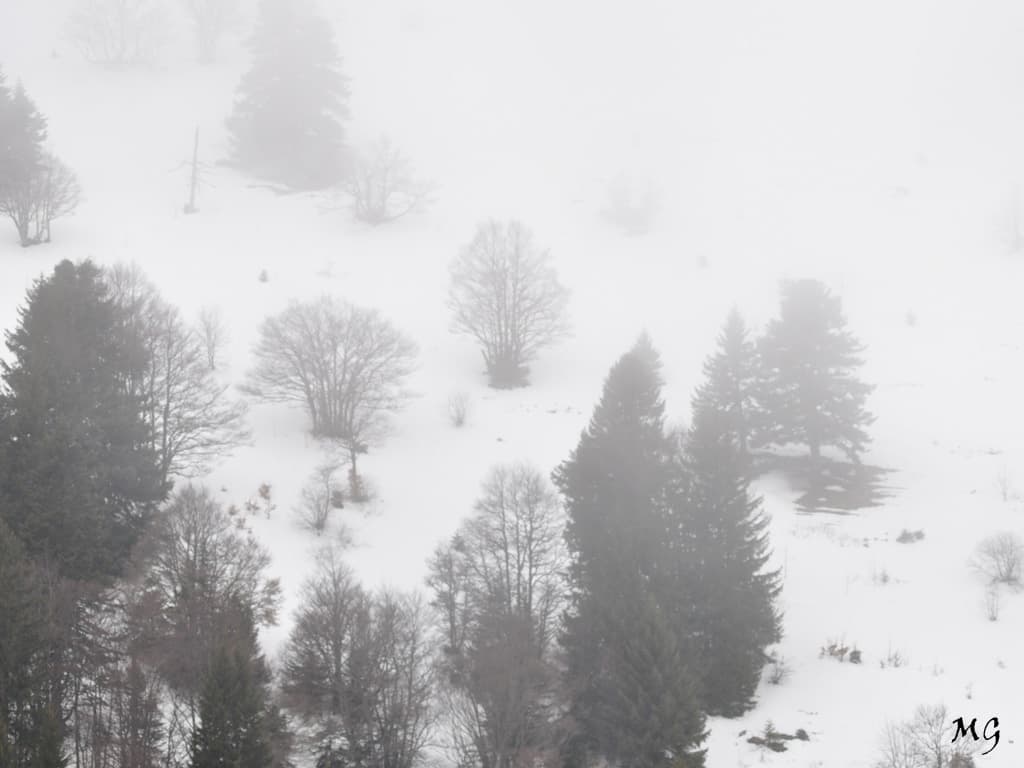 Ambiance feutrée !!!
