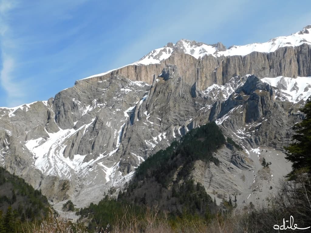 Le château des chèvres