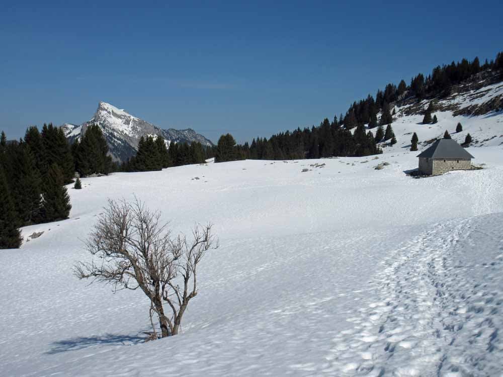 Encore de la neige sur l'alpage du Pravouta