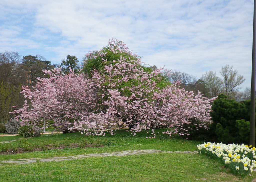 Magnifique bouquet !
