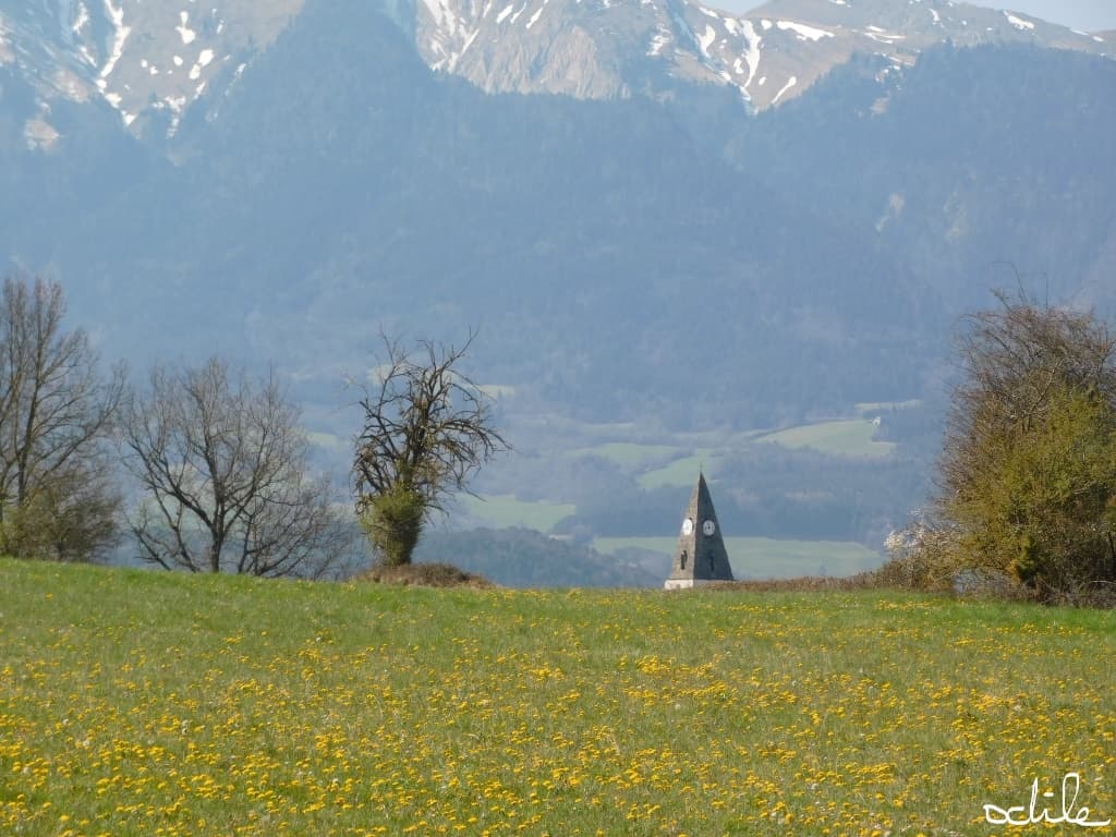 Le clocher de Prébois dans les prés