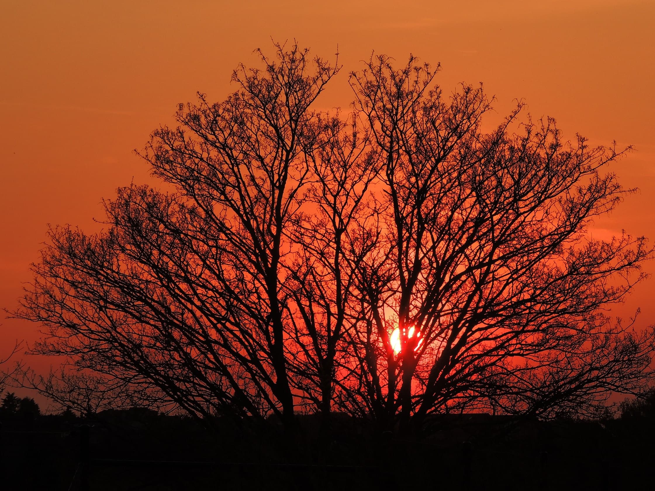 Coucher de soleil sur Bruxelles vu par Fabienne