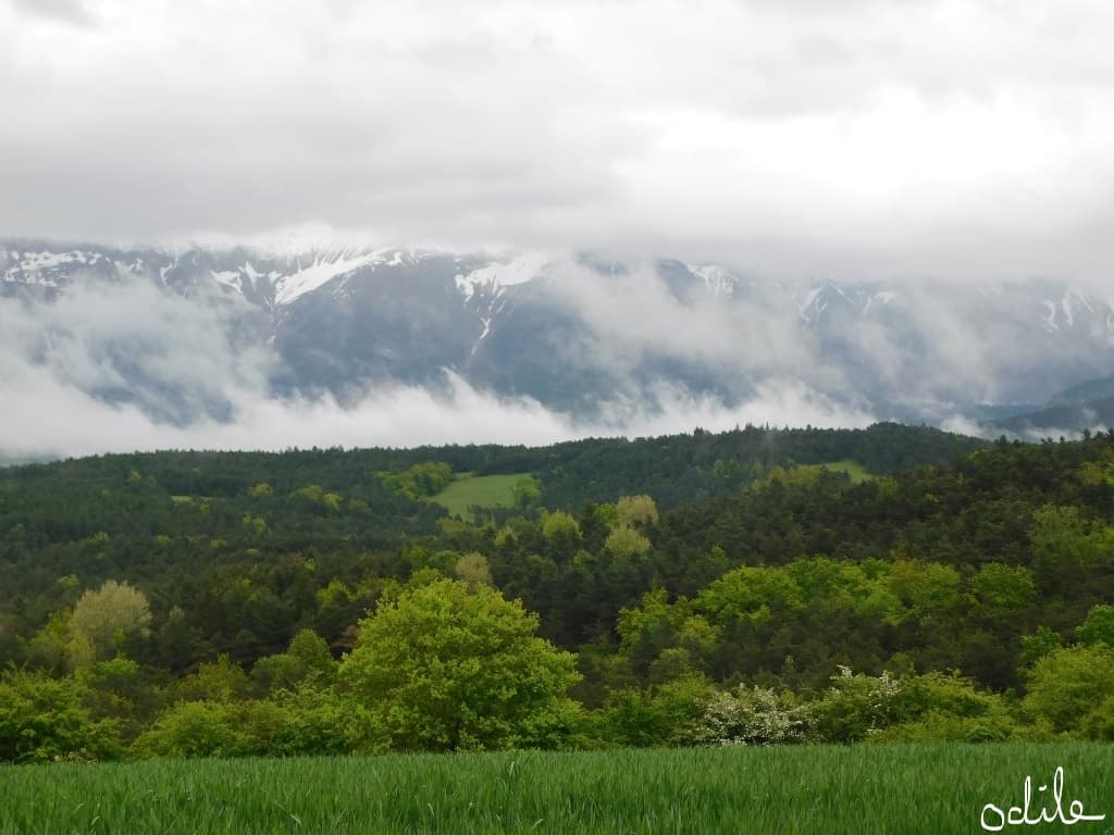 Ciel chargé du 1er mai
