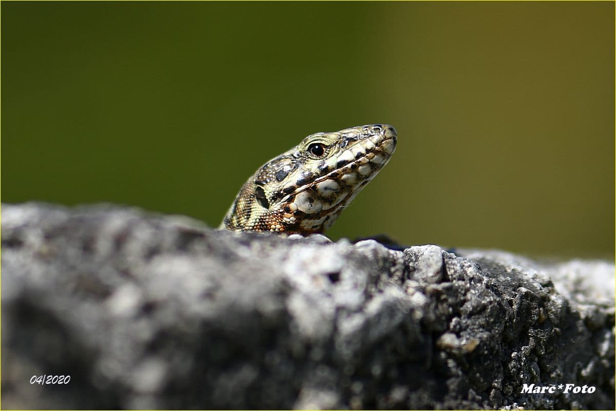 Coucou...enfin de la chaleur