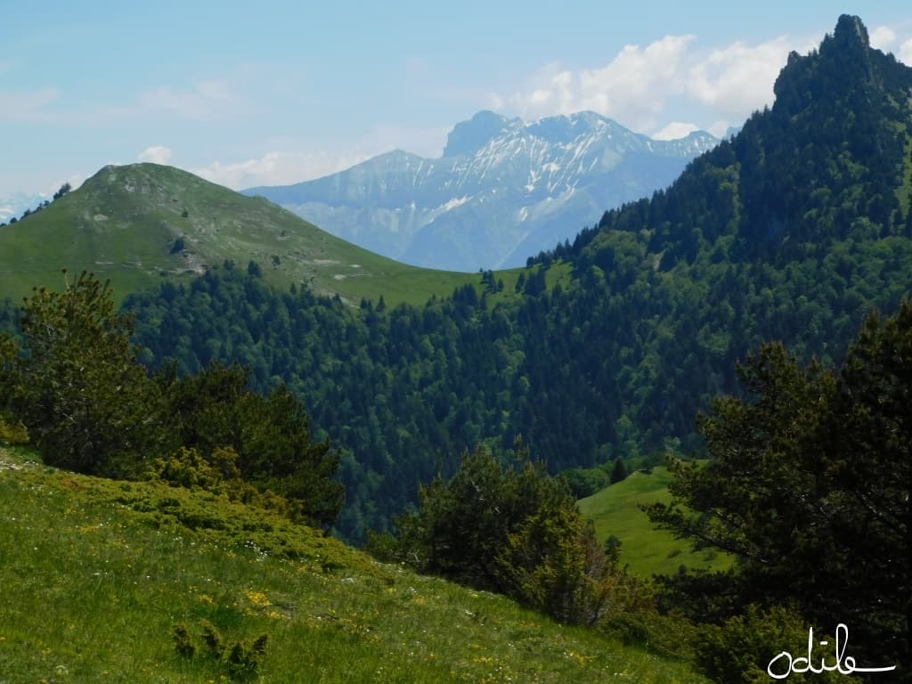 Fenêtre sur Dévoluy