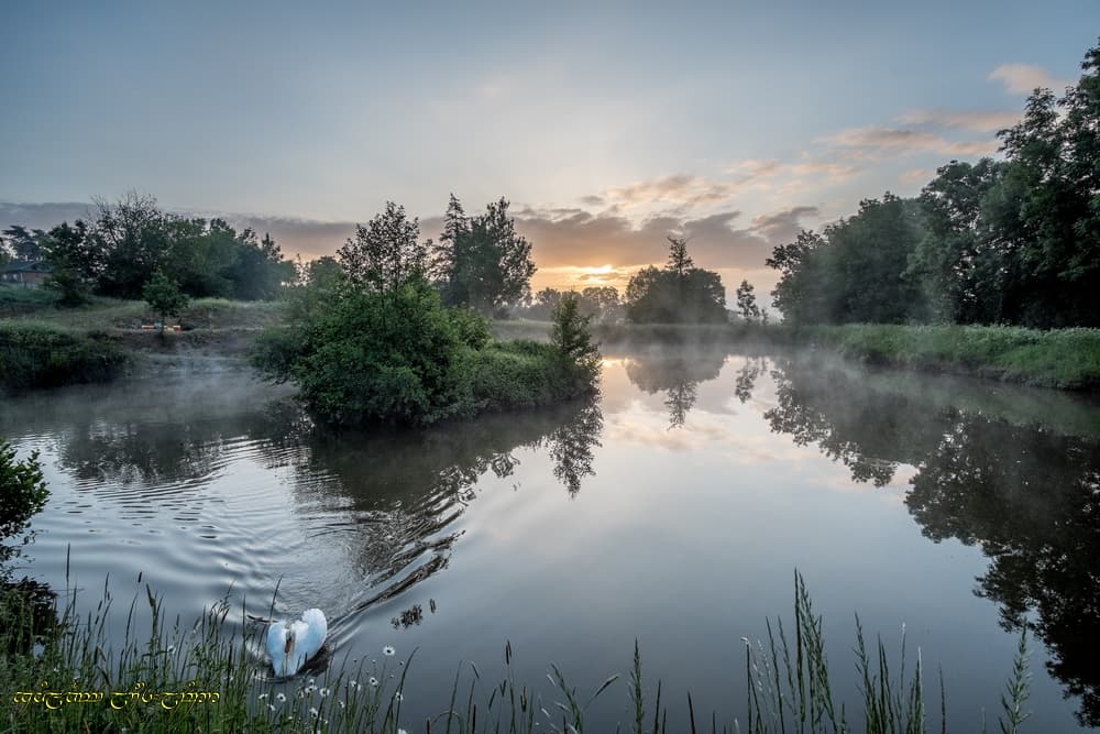 Les classiques de l'étang