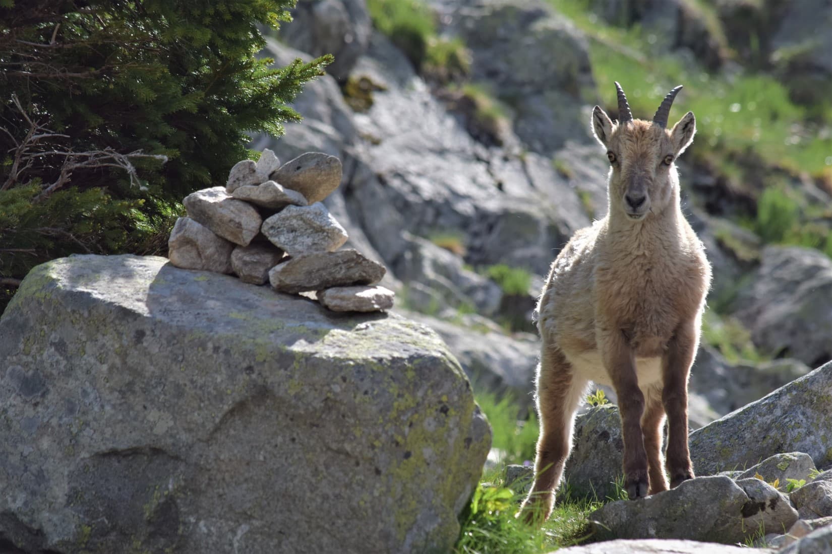 PLus de 2 mois que je t'attends...