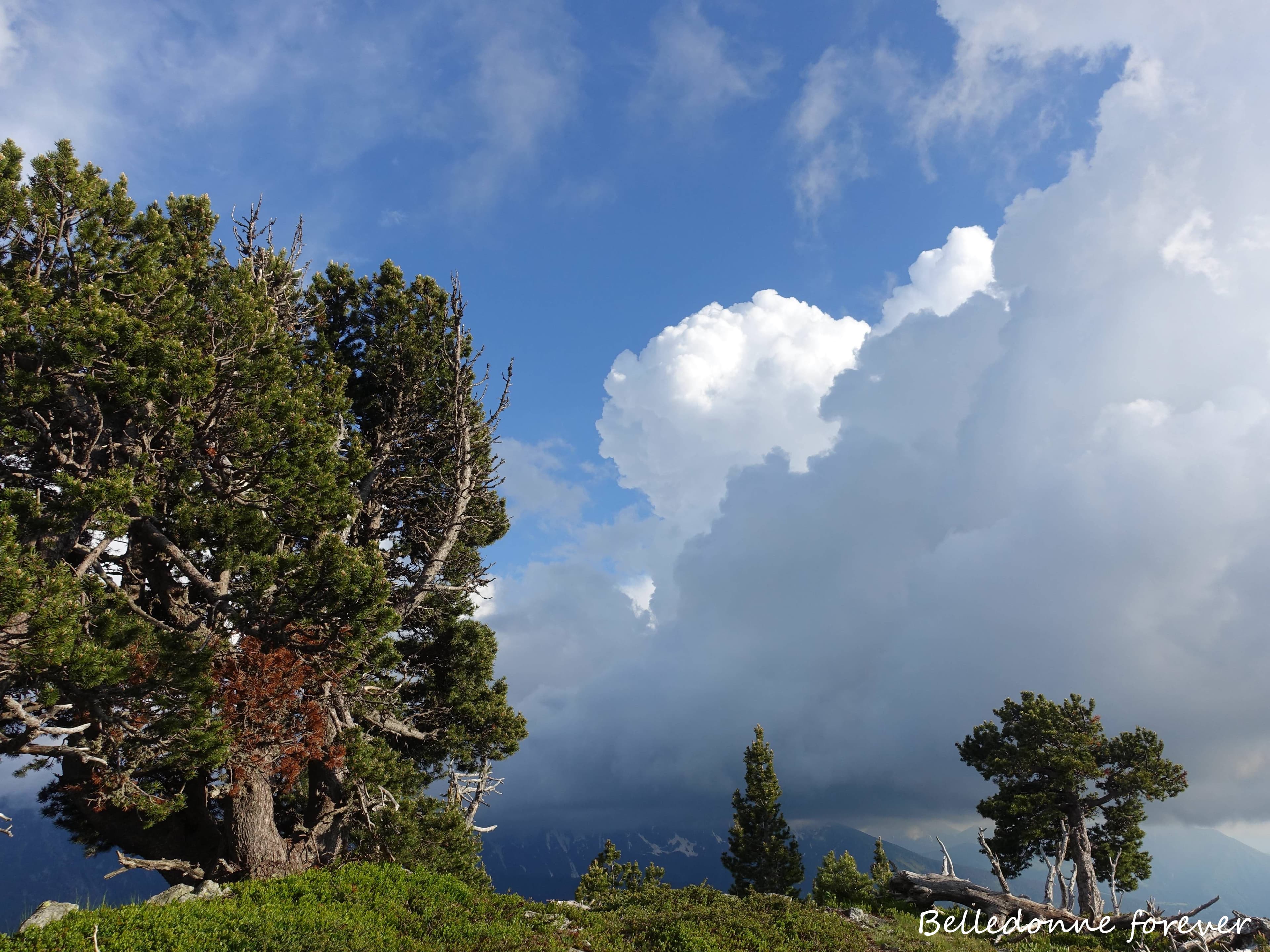 Après l'orage le soleil A.P.