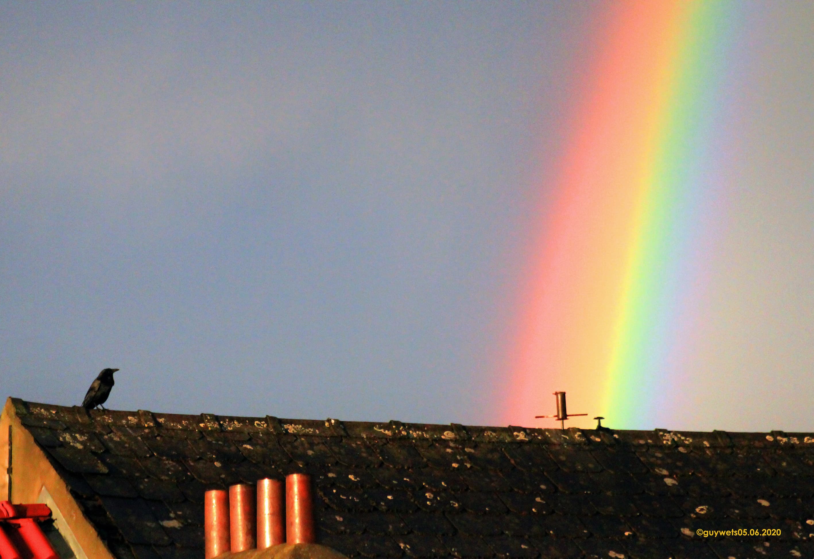 Après un orage de grêle