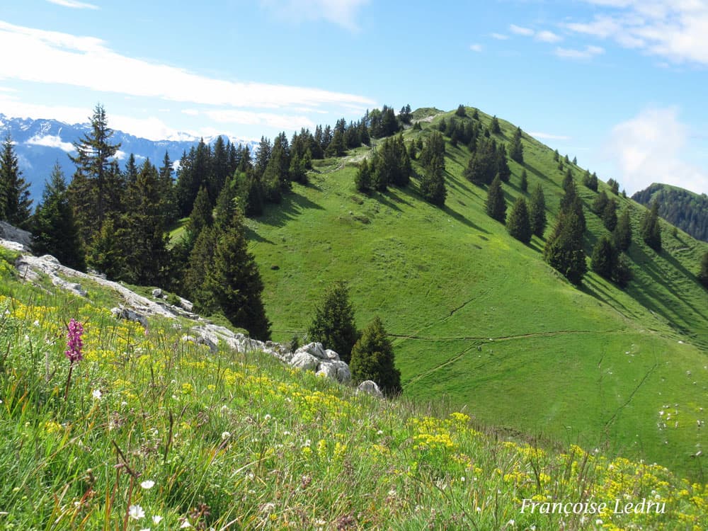 Soleil et quelques nuages en Chartreuse