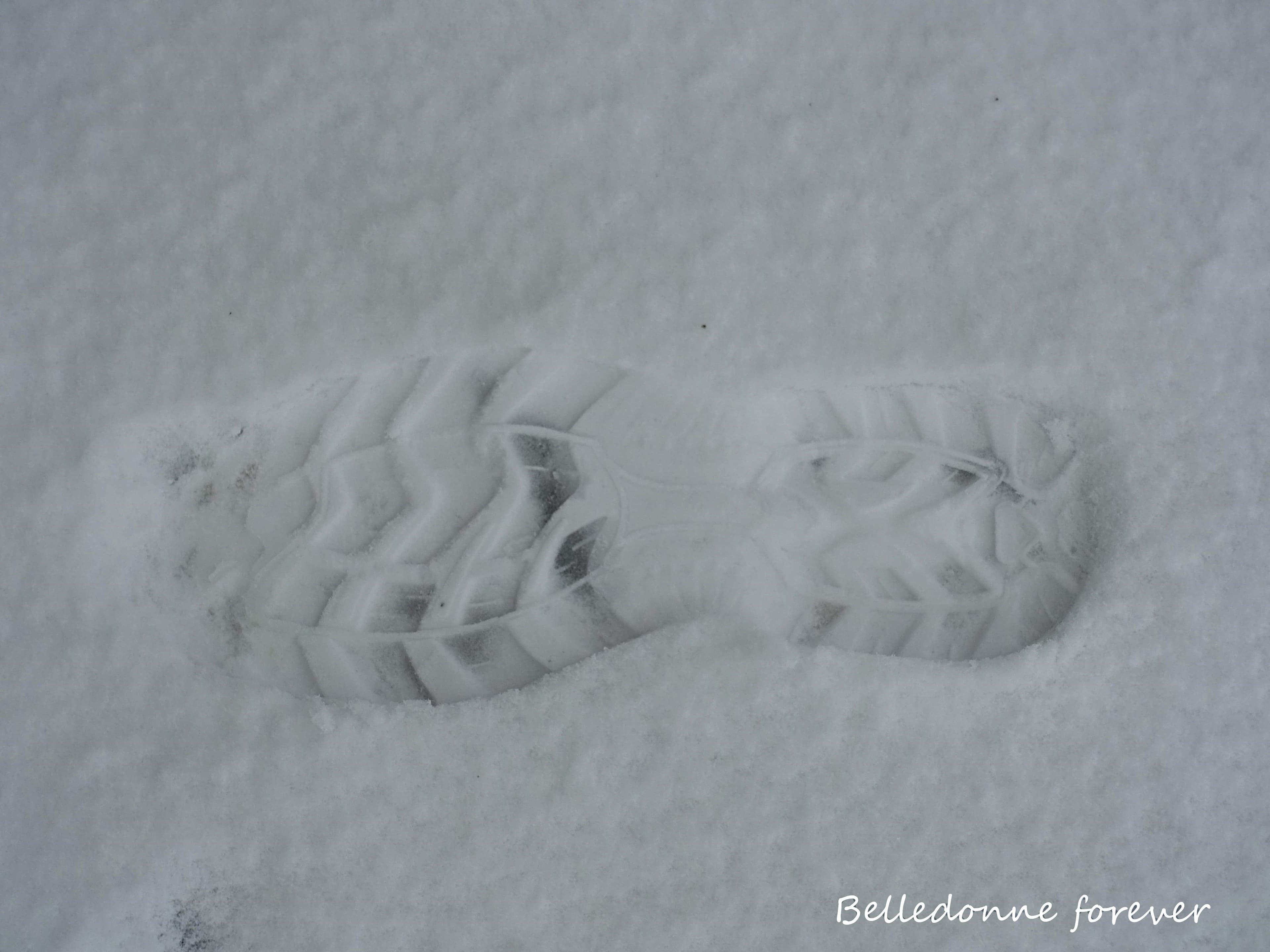 what's else - quelques cm à 2250m vent de nord A.P.