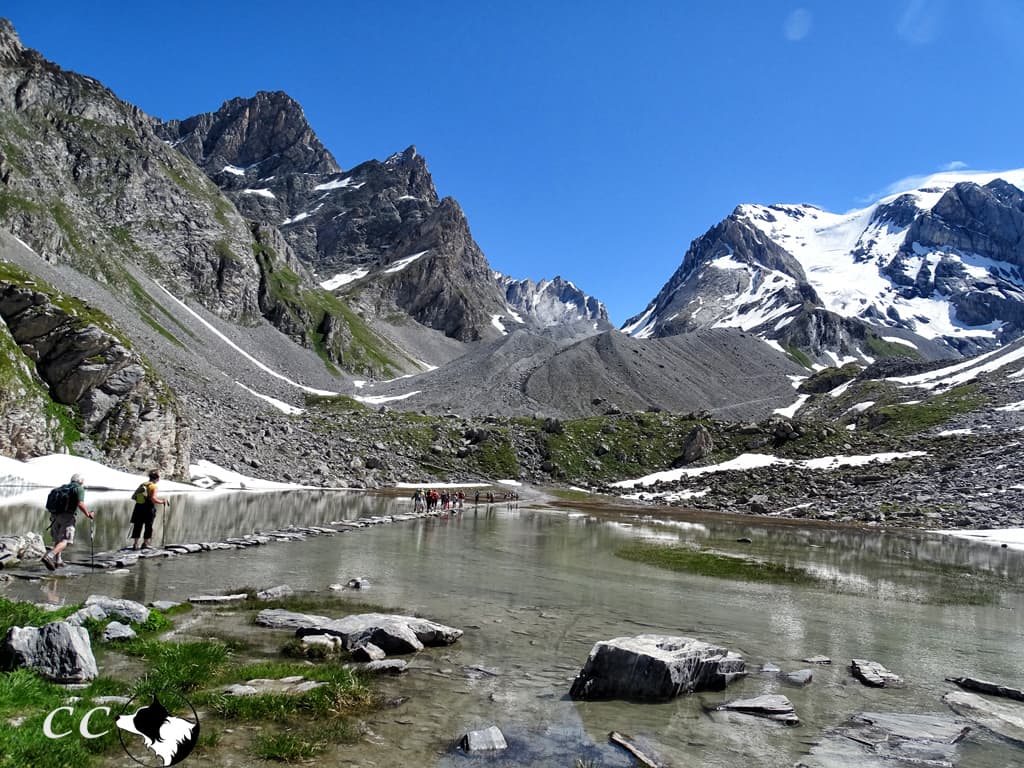 le lac des vaches Pralognan la Vanoise