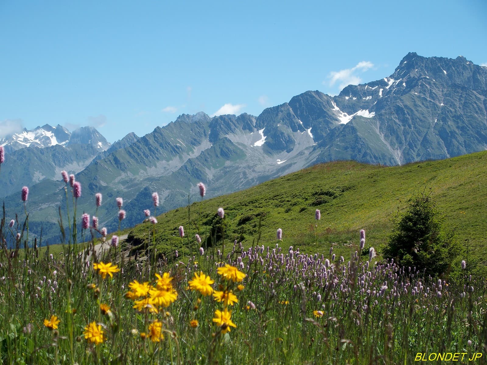 Chaîne de Belledonne vue du Merdaret