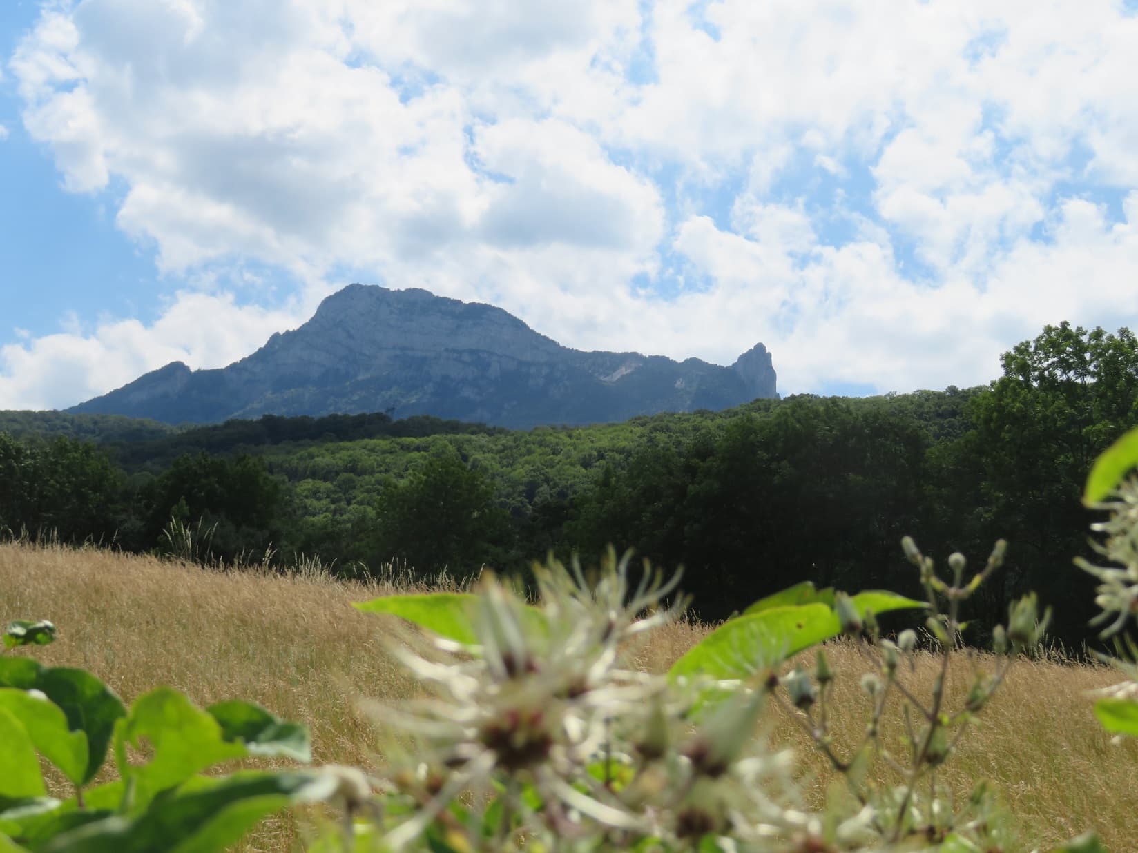du blond, du vert, du bleu...