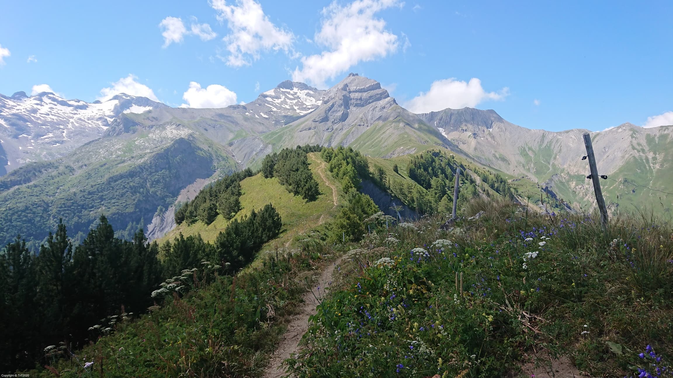 Beaucoup de taons sur Croix du Carrelet