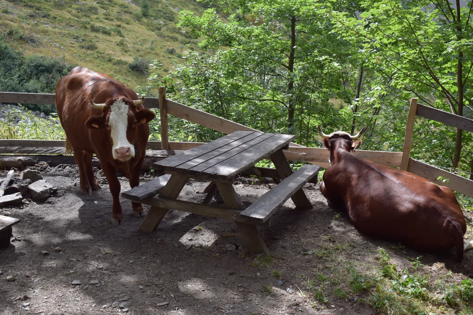 La table est réservée