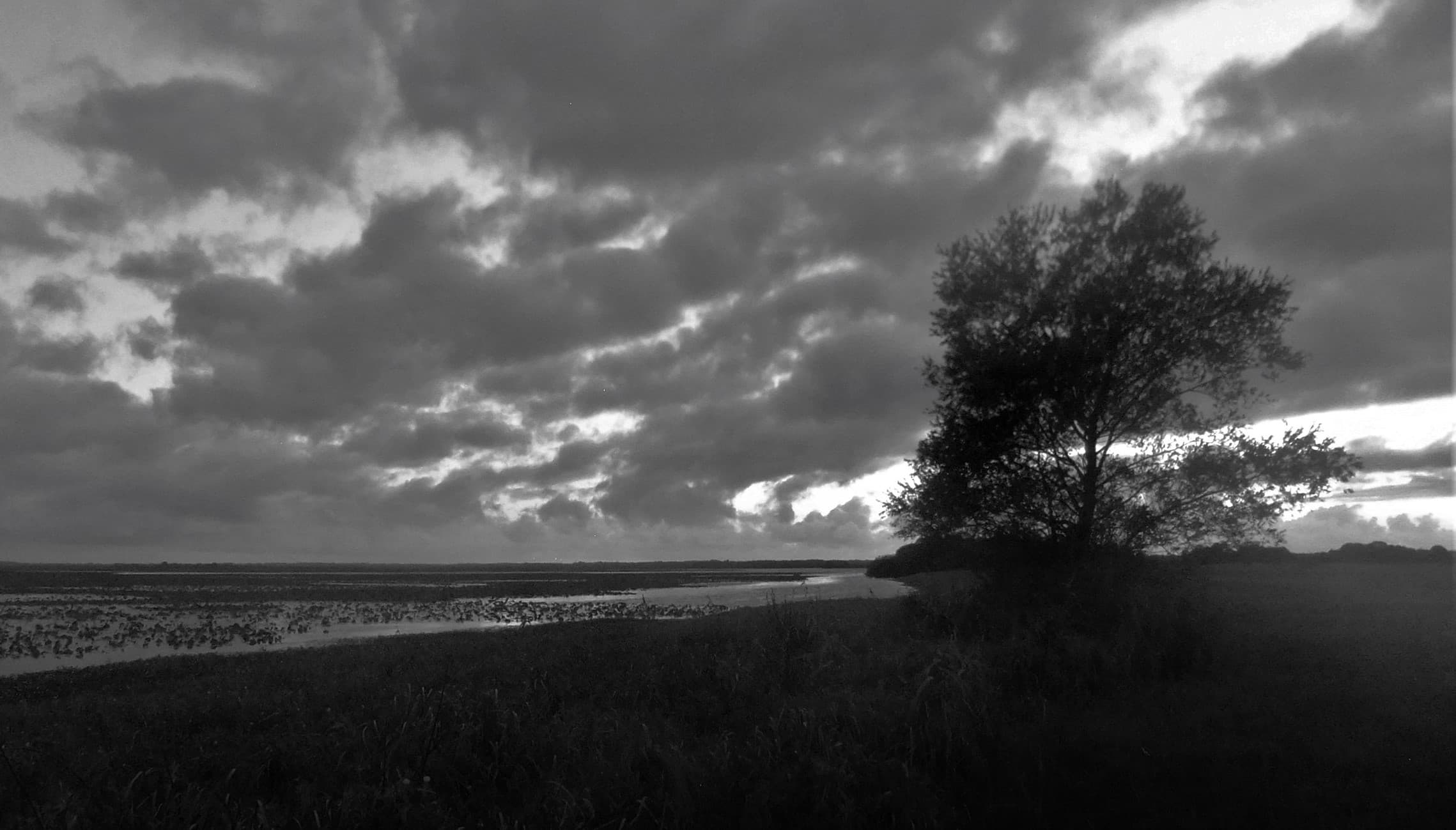Lac de Grand lieu au couchant