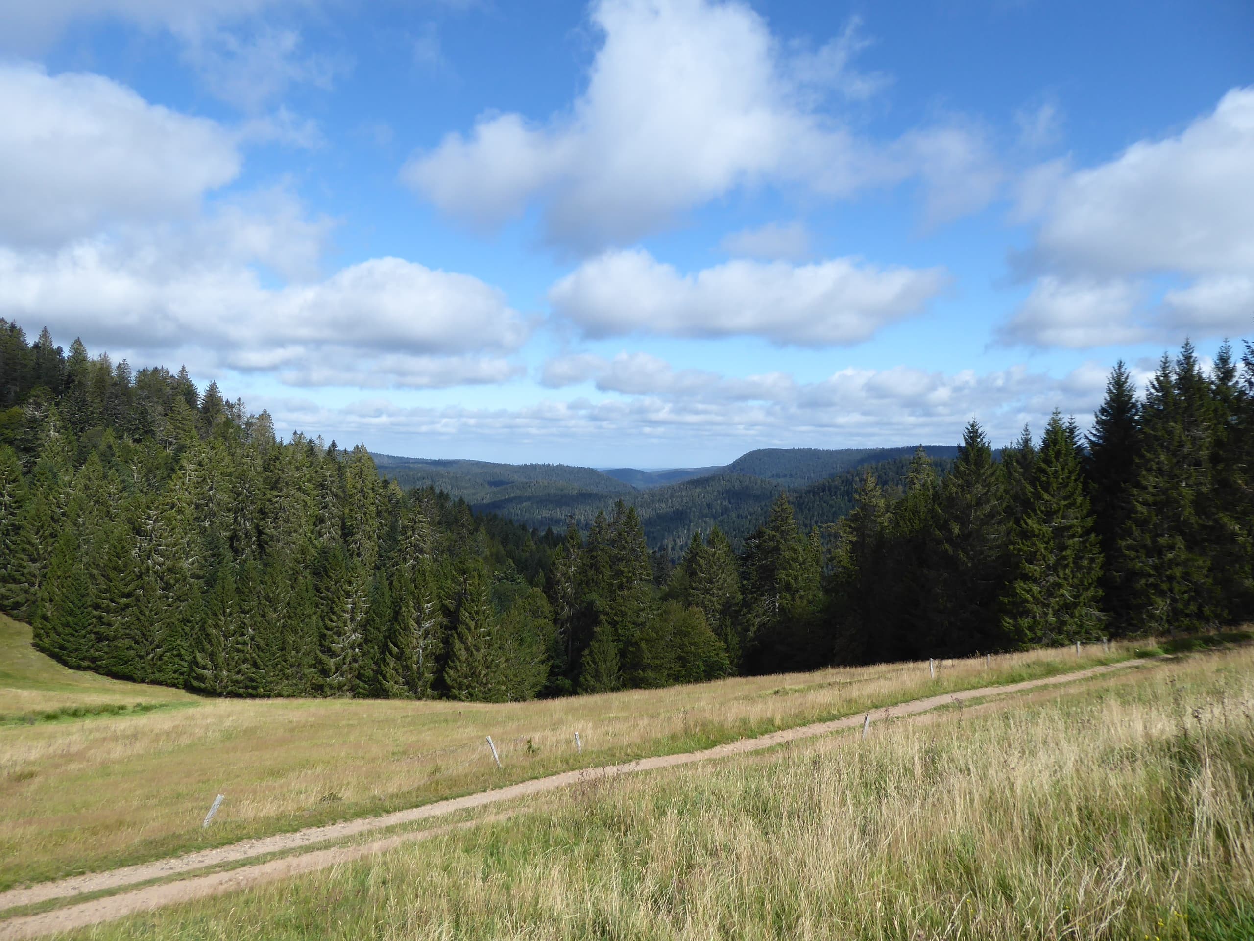 Peu nuageux mais vent sensible.