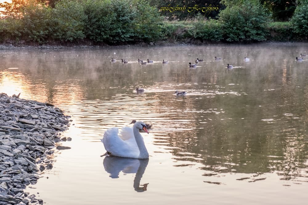 Vue serrée sur le soupçon de brume