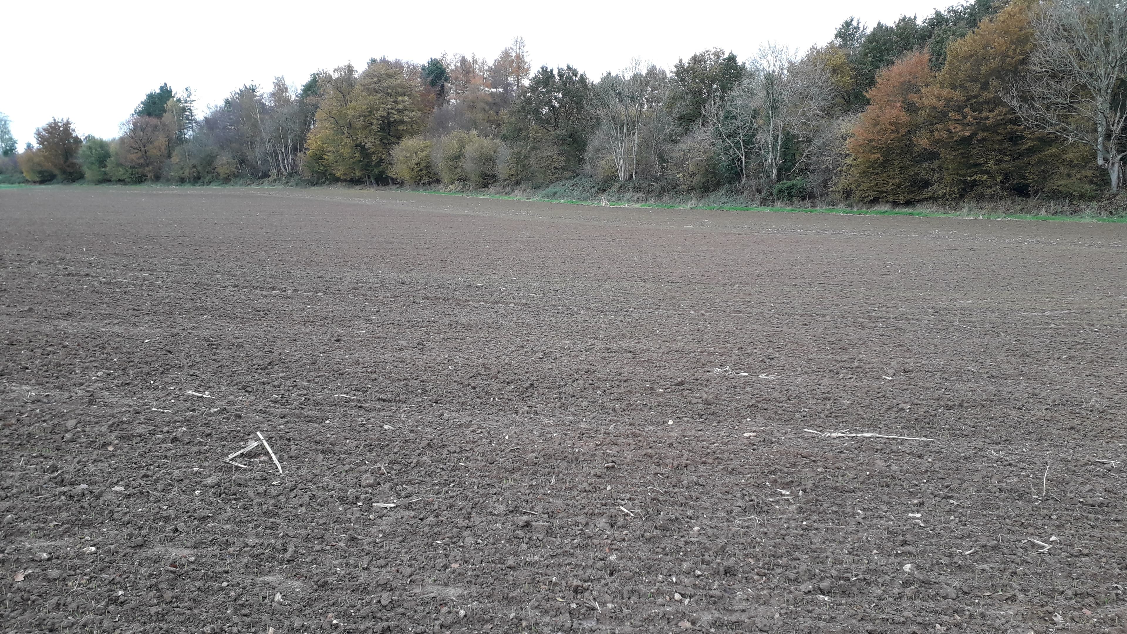 Le pays de Caux autrefois région d'élevage