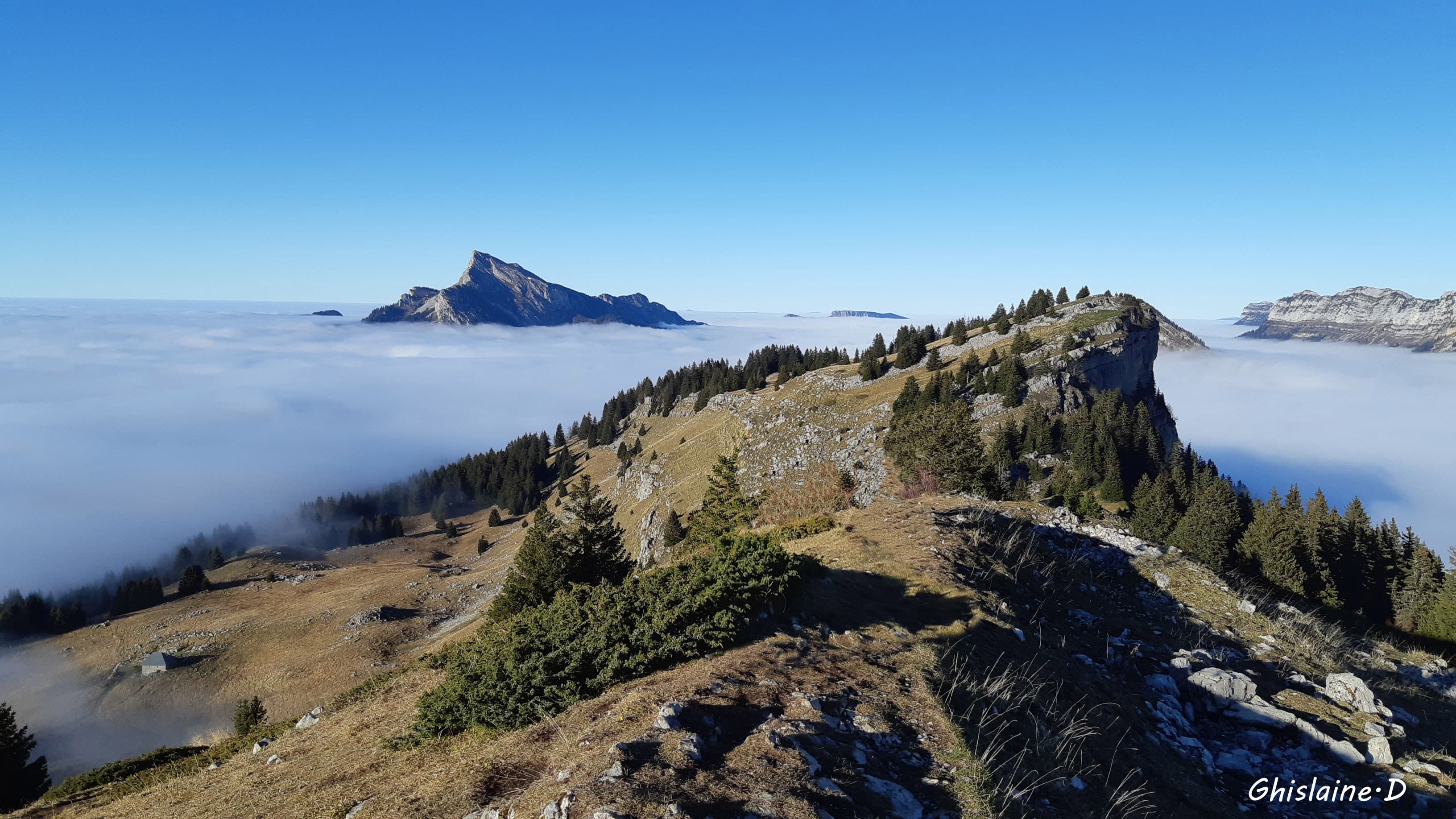 Montée Pravouta..coté GranSom..(Habert)